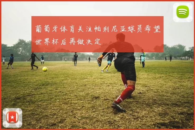 葡萄牙体育关注帕利尼亚球员希望世界杯后再做决定