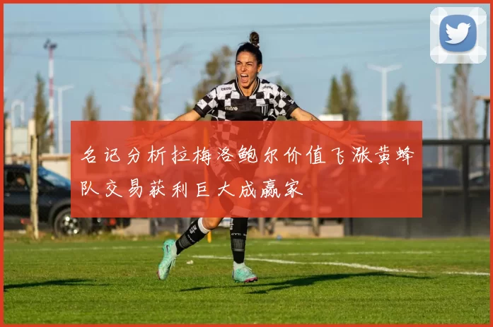 名记分析拉梅洛鲍尔价值飞涨黄蜂队交易获利巨大成赢家