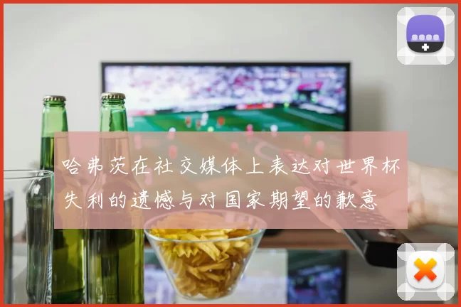 哈弗茨在社交媒体上表达对世界杯失利的遗憾与对国家期望的歉意